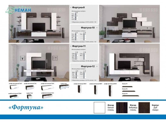 Гостиная Фортуна 10 (белый, зебравуд глянец)