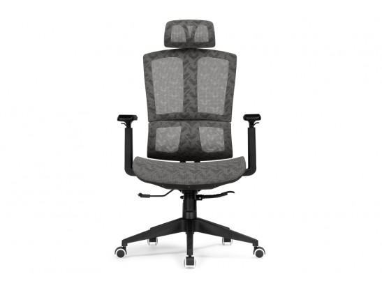Компьютерное кресло Lanus gray / black