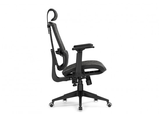 Компьютерное кресло Lanus gray / black