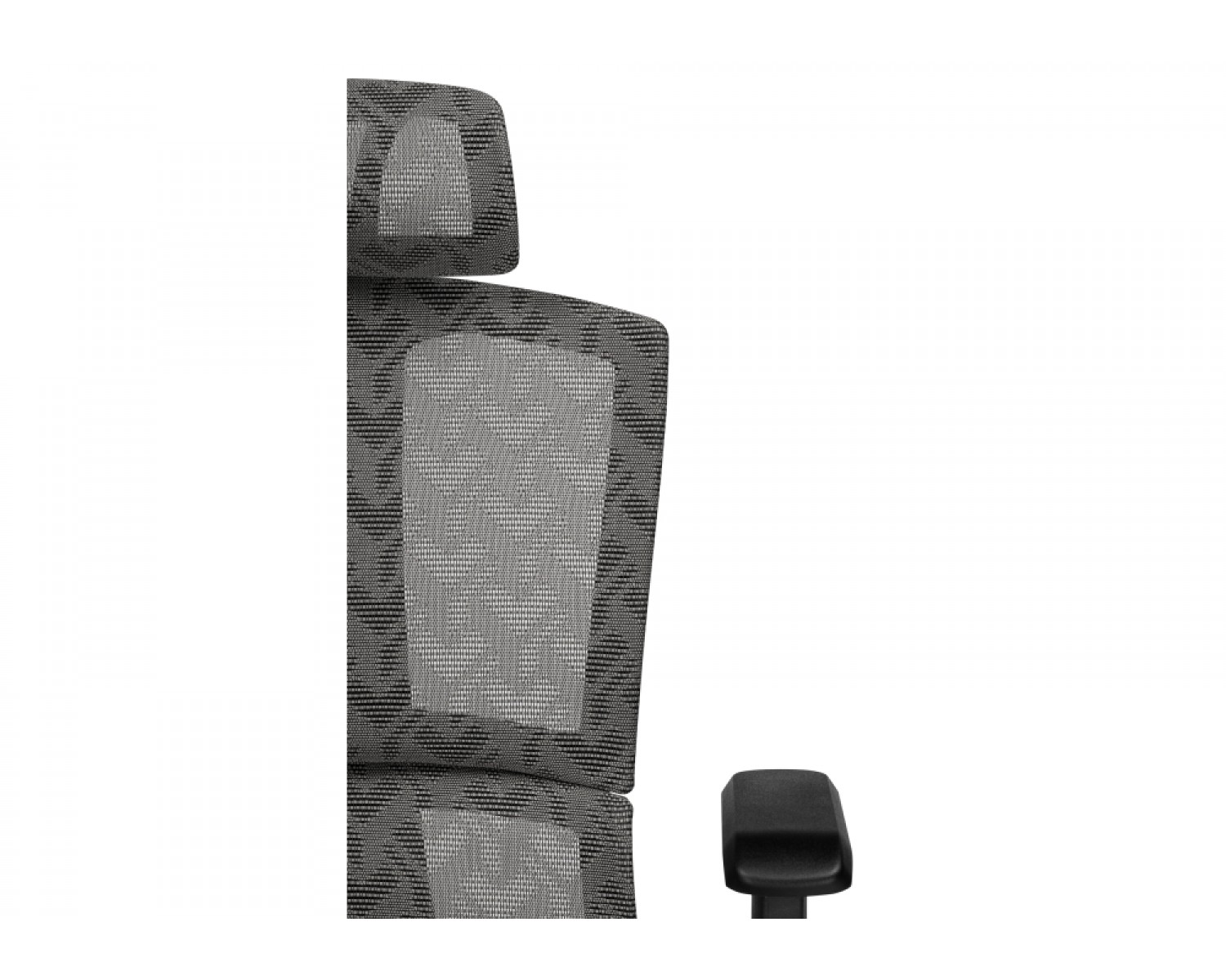 Компьютерное кресло Lanus gray / black