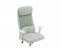 Компьютерное кресло Salta light green / white