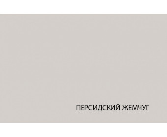 MODERN, Шкаф 2DG-1. Цвет ПЕРСИДСКИЙ ЖЕМЧУГ