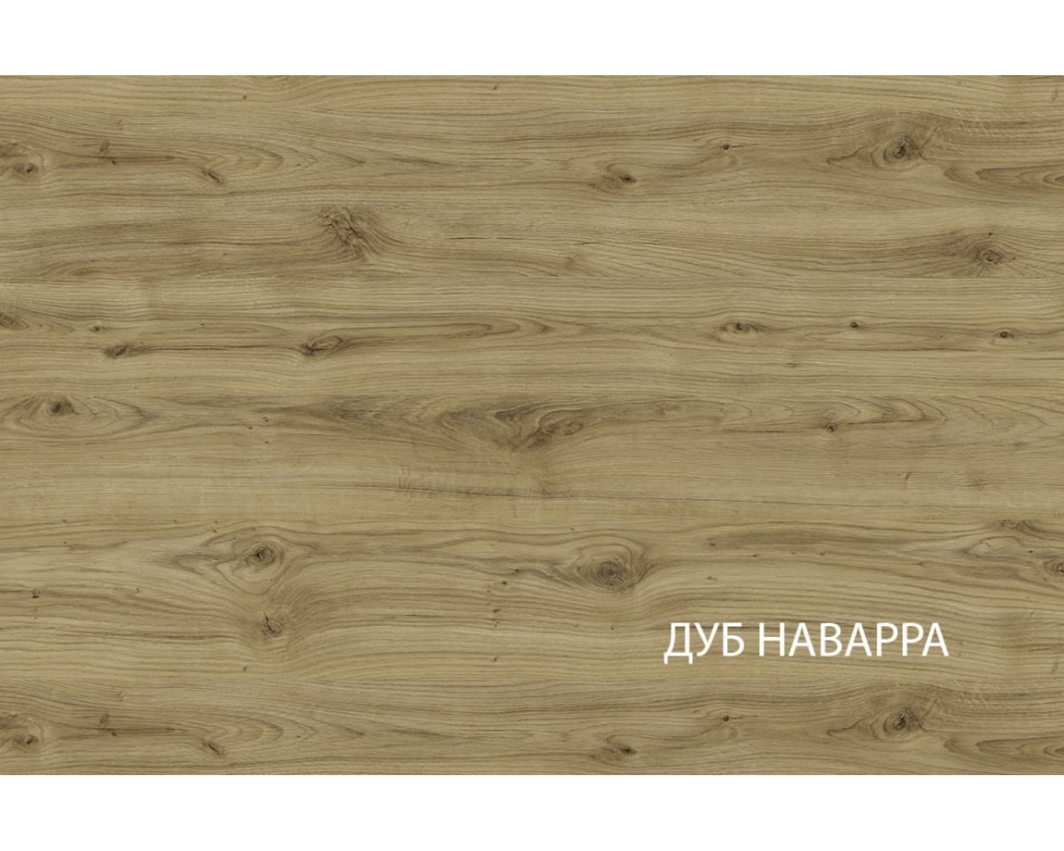 MODERN, Шкаф 2D/70 Z. Цвет ПЕРСИДСКИЙ ЖЕМЧУГ
