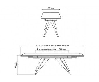 Керамический стол Дарвин 160(220)х89 белый с прожилками gilt white / черный