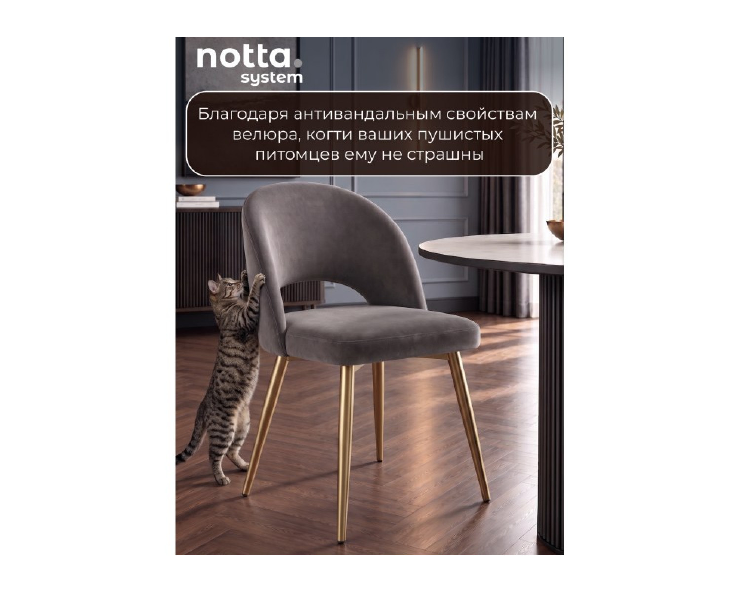 Стул на металлокаркасе Курбис 360 темно-серый (zd 995) / золотой