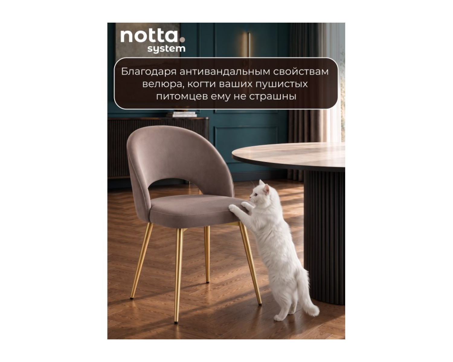 Стул на металлокаркасе Курбис латте (zd 290) / золотой